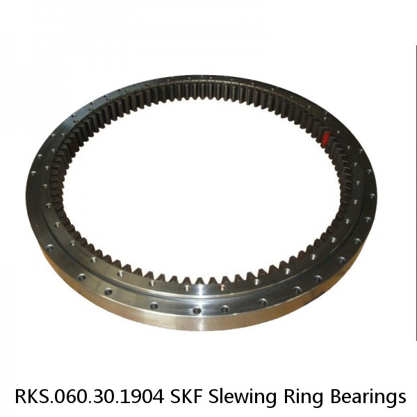 RKS.060.30.1904 SKF Slewing Ring Bearings