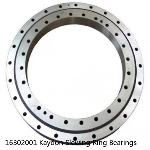 16302001 Kaydon Slewing Ring Bearings