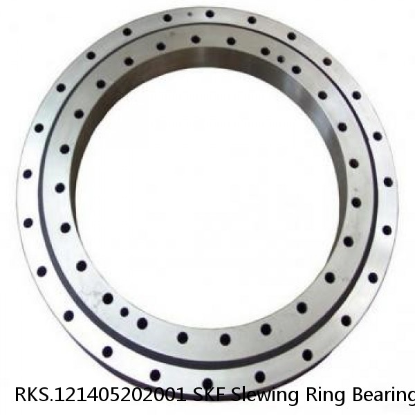 RKS.121405202001 SKF Slewing Ring Bearings