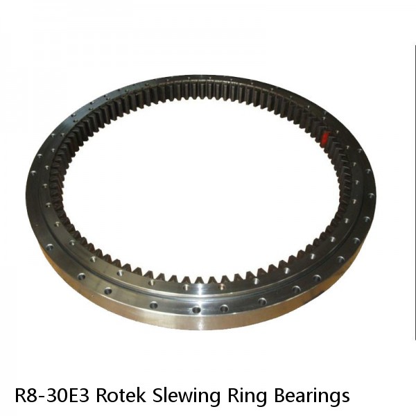 R8-30E3 Rotek Slewing Ring Bearings