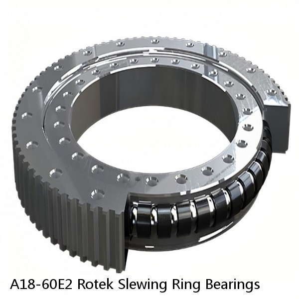 A18-60E2 Rotek Slewing Ring Bearings