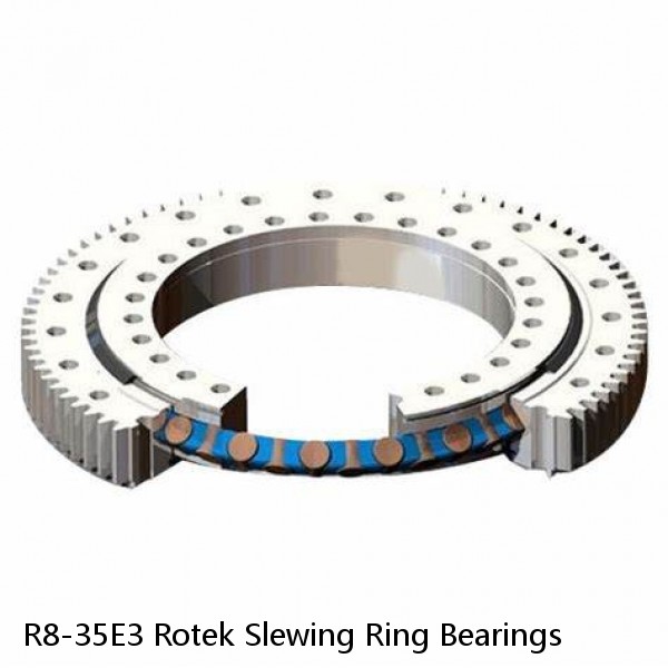 R8-35E3 Rotek Slewing Ring Bearings