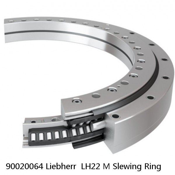 90020064 Liebherr  LH22 M Slewing Ring #1 small image