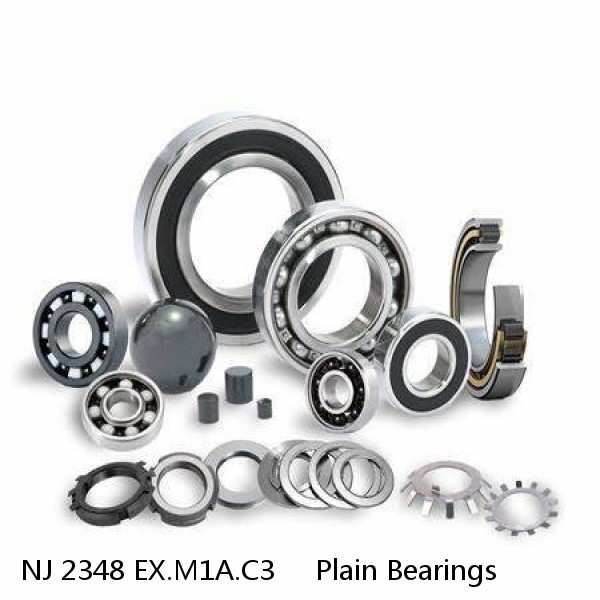 NJ 2348 EX.M1A.C3     Plain Bearings