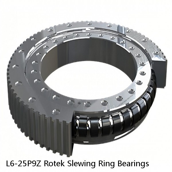 L6-25P9Z Rotek Slewing Ring Bearings