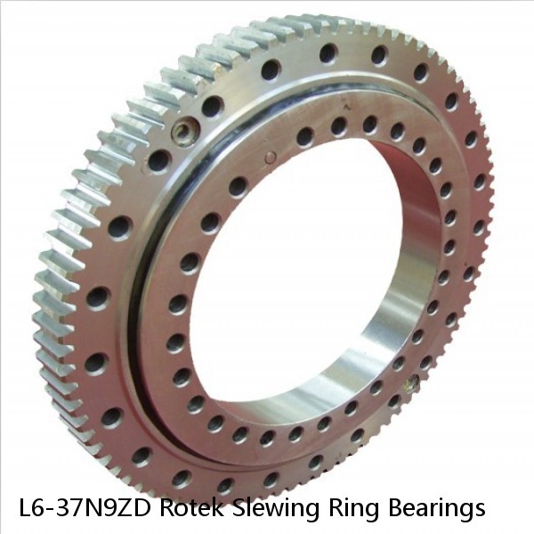 L6-37N9ZD Rotek Slewing Ring Bearings