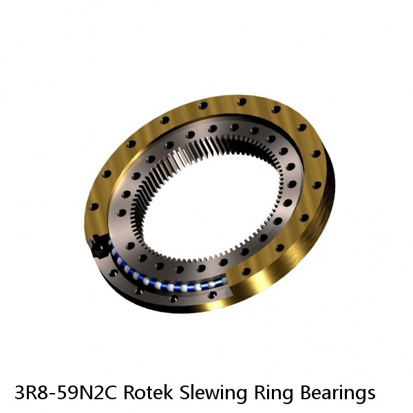 3R8-59N2C Rotek Slewing Ring Bearings