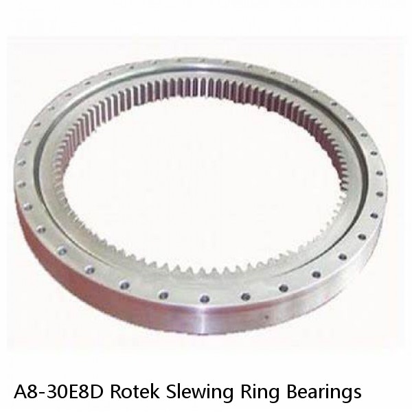 A8-30E8D Rotek Slewing Ring Bearings #1 image