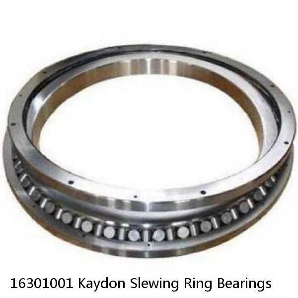 16301001 Kaydon Slewing Ring Bearings #1 image