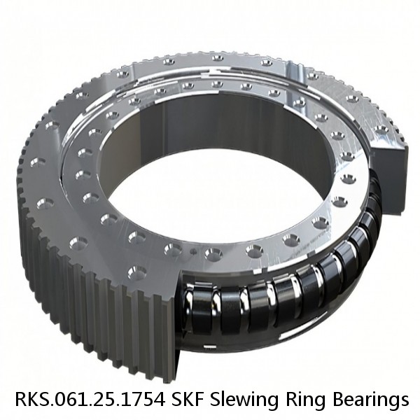 RKS.061.25.1754 SKF Slewing Ring Bearings #1 image