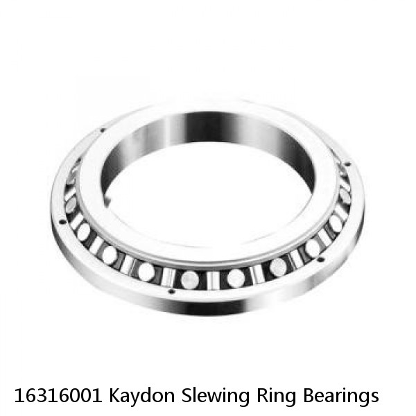 16316001 Kaydon Slewing Ring Bearings #1 image