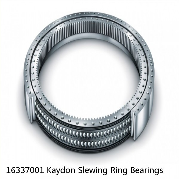 16337001 Kaydon Slewing Ring Bearings #1 image