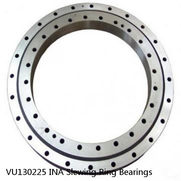 VU130225 INA Slewing Ring Bearings #1 image