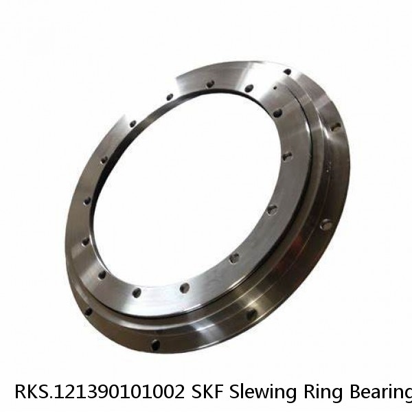 RKS.121390101002 SKF Slewing Ring Bearings #1 image