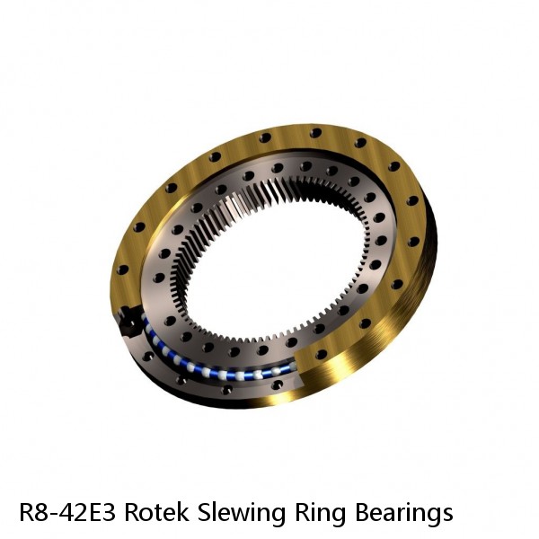 R8-42E3 Rotek Slewing Ring Bearings #1 image