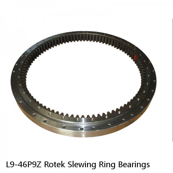 L9-46P9Z Rotek Slewing Ring Bearings #1 image