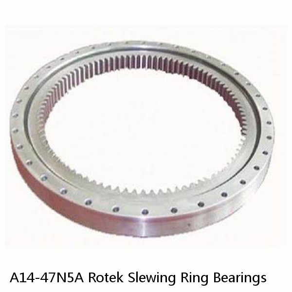 A14-47N5A Rotek Slewing Ring Bearings #1 image