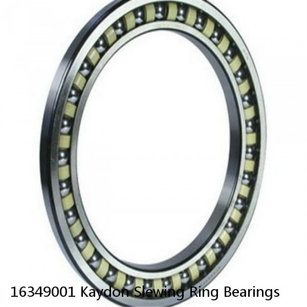 16349001 Kaydon Slewing Ring Bearings #1 image