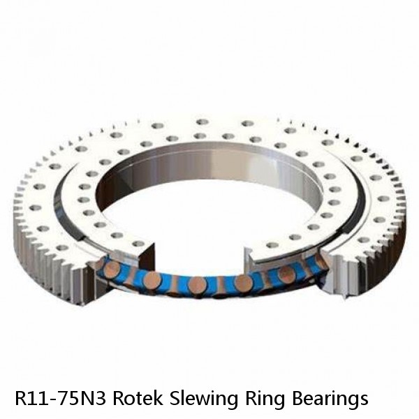 R11-75N3 Rotek Slewing Ring Bearings #1 image