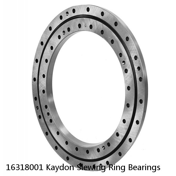 16318001 Kaydon Slewing Ring Bearings #1 image