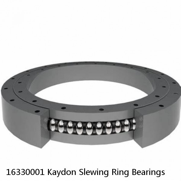 16330001 Kaydon Slewing Ring Bearings #1 image