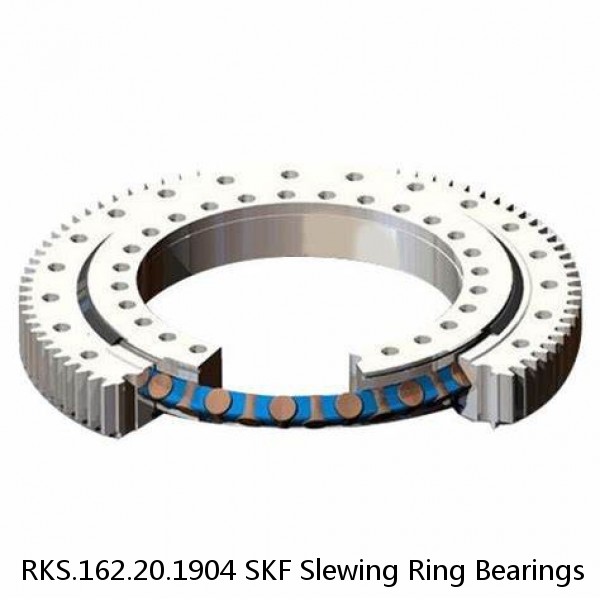 RKS.162.20.1904 SKF Slewing Ring Bearings #1 image