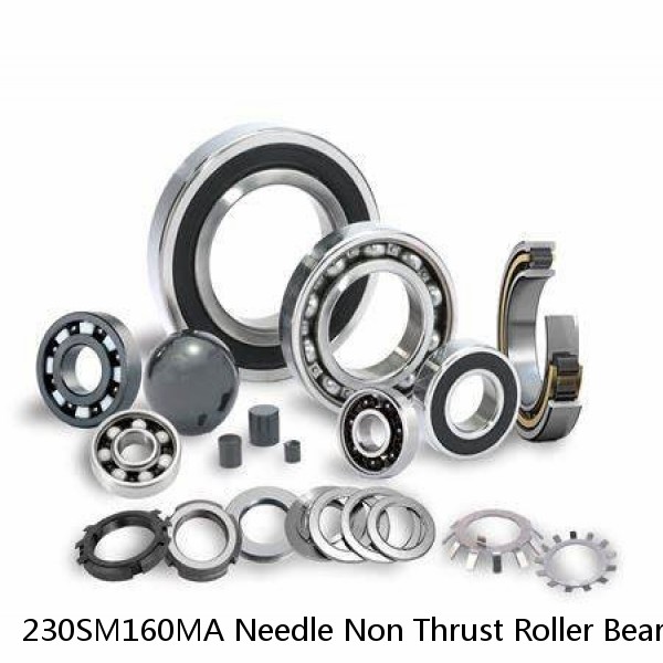 230SM160MA Needle Non Thrust Roller Bearings #1 image