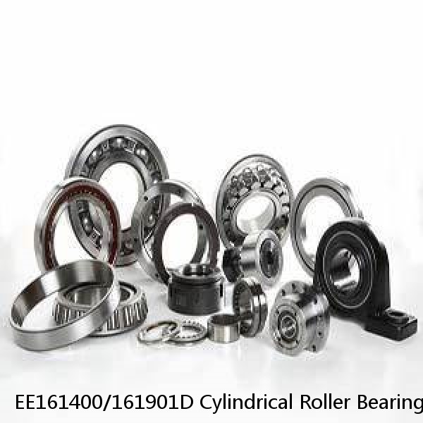 EE161400/161901D Cylindrical Roller Bearings #1 image