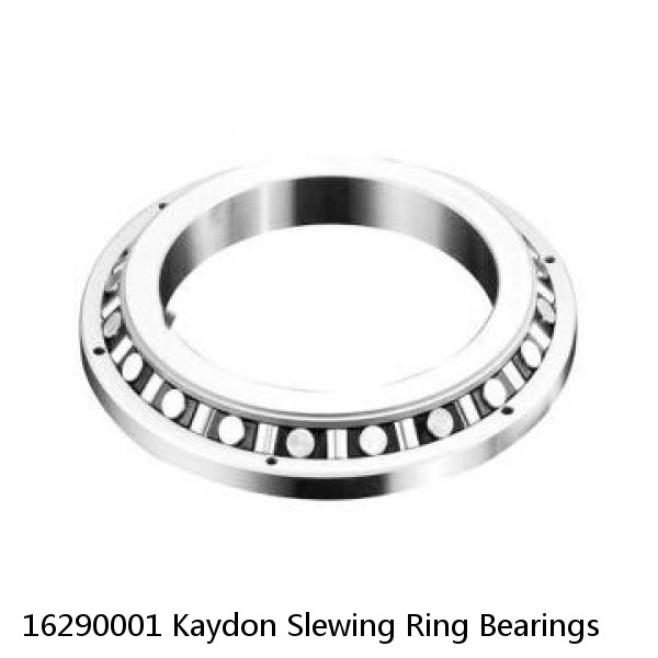 16290001 Kaydon Slewing Ring Bearings #1 image