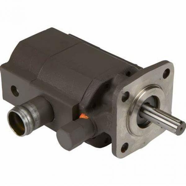 Blince Single Vane Pump PV2r Series for Sale (PV2R1/PV2R2/PV2R3) #1 image