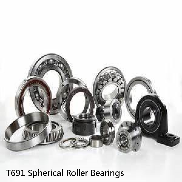 T691 Spherical Roller Bearings #1 image