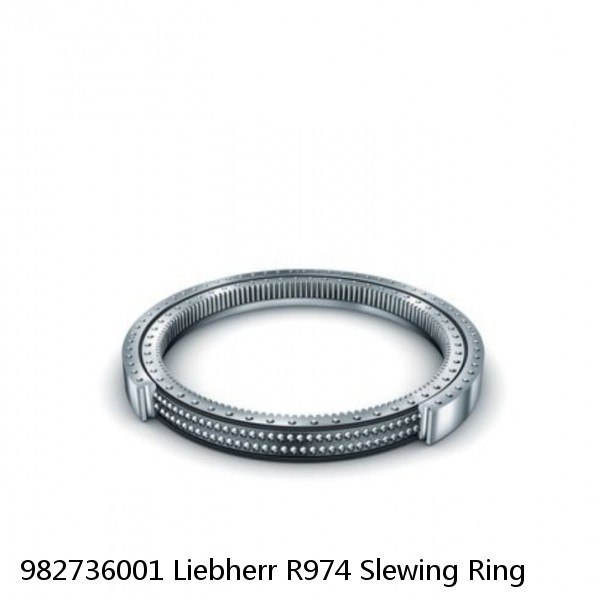 982736001 Liebherr R974 Slewing Ring #1 image