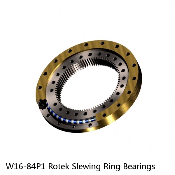 W16-84P1 Rotek Slewing Ring Bearings #1 image