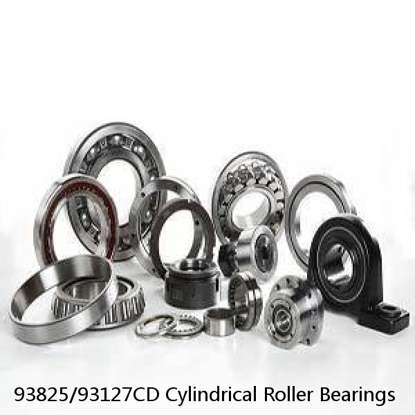 93825/93127CD Cylindrical Roller Bearings #1 image