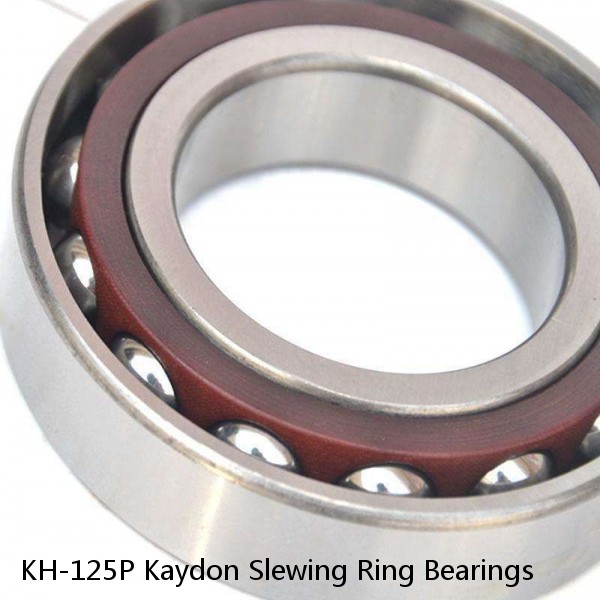 KH-125P Kaydon Slewing Ring Bearings #1 image