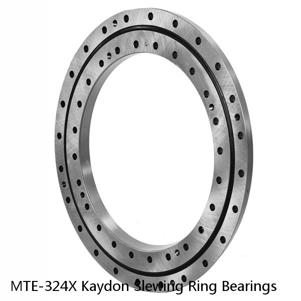 MTE-324X Kaydon Slewing Ring Bearings #1 image