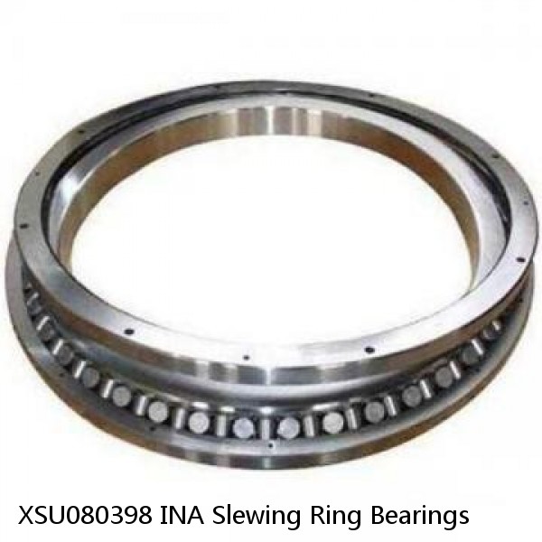 XSU080398 INA Slewing Ring Bearings #1 image