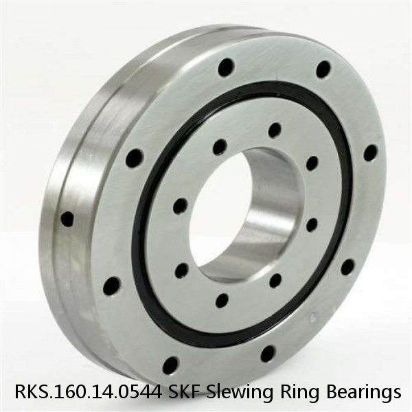 RKS.160.14.0544 SKF Slewing Ring Bearings #1 image