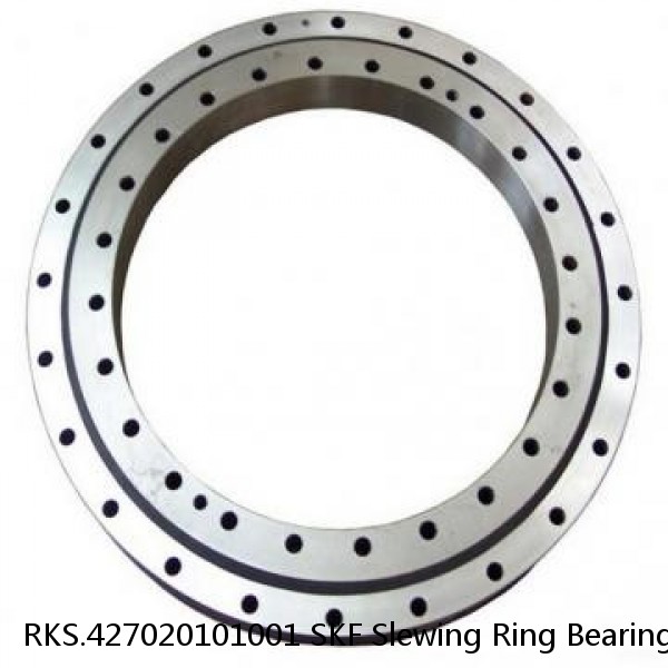 RKS.427020101001 SKF Slewing Ring Bearings #1 image