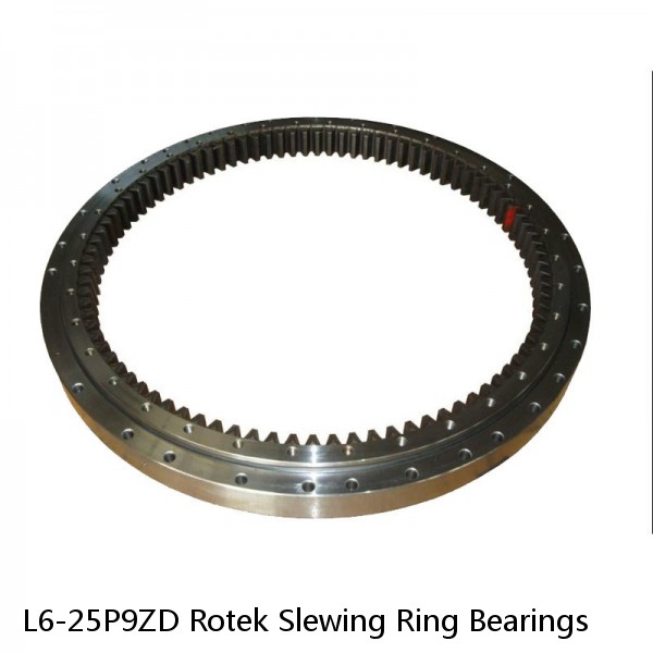 L6-25P9ZD Rotek Slewing Ring Bearings #1 image