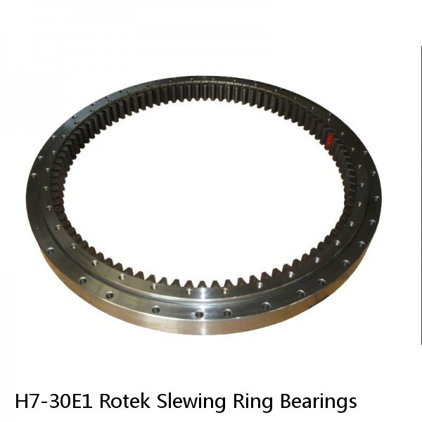 H7-30E1 Rotek Slewing Ring Bearings #1 image