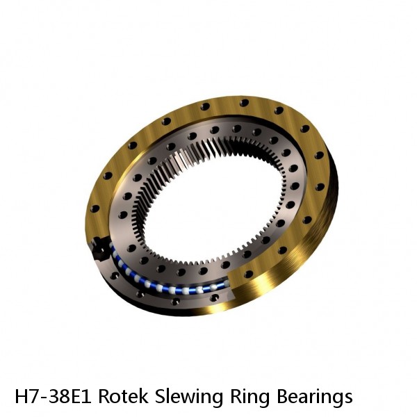 H7-38E1 Rotek Slewing Ring Bearings #1 image