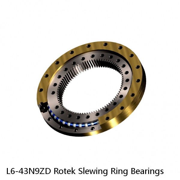 L6-43N9ZD Rotek Slewing Ring Bearings #1 image