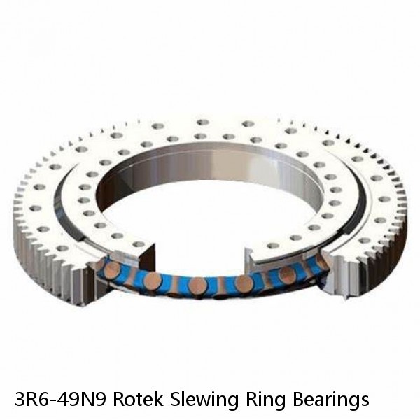 3R6-49N9 Rotek Slewing Ring Bearings #1 image