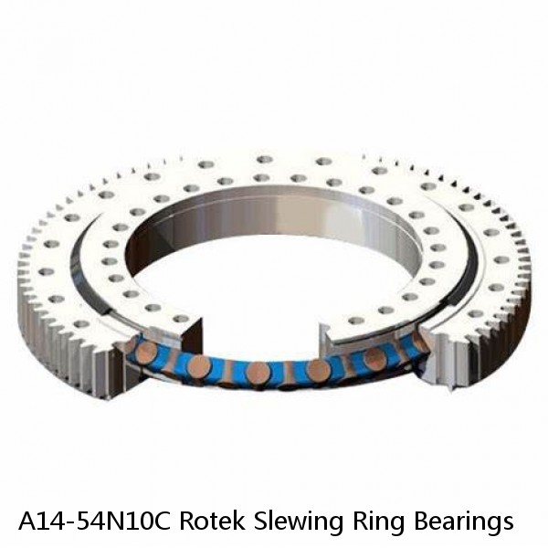 A14-54N10C Rotek Slewing Ring Bearings #1 image