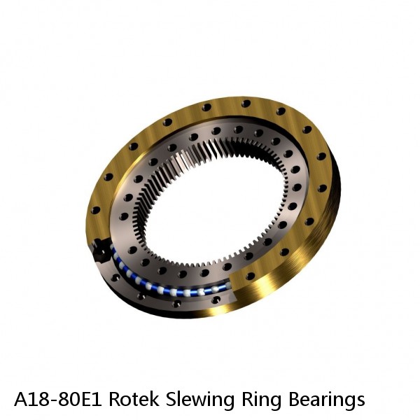 A18-80E1 Rotek Slewing Ring Bearings #1 image